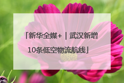 新华全媒+｜武汉新增10条低空物流航线