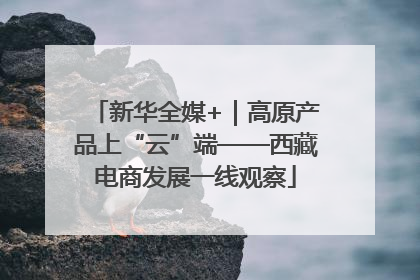 新华全媒+｜高原产品上“云”端——西藏电商发展一线观察