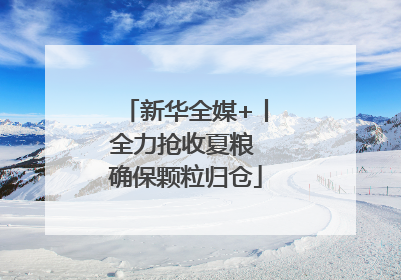 新华全媒+丨全力抢收夏粮 确保颗粒归仓