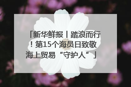 新华鲜报丨踏浪而行！第15个海员日致敬海上贸易“守护人”