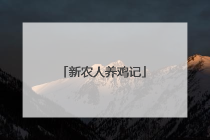 新农人养鸡记