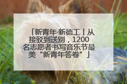 新青年·新德工丨从接驳到送别，1200名志愿者书写音乐节最美“新青年答卷”