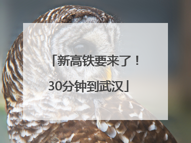 新高铁要来了！30分钟到武汉