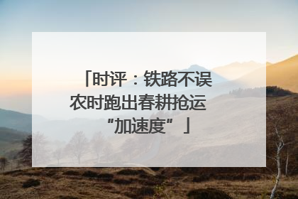 时评：铁路不误农时跑出春耕抢运“加速度”