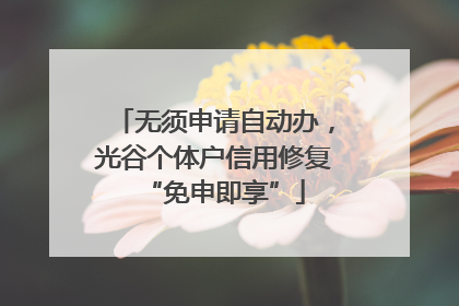 无须申请自动办，光谷个体户信用修复“免申即享”