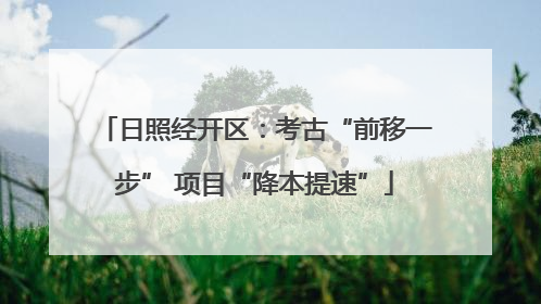 日照经开区：考古“前移一步” 项目“降本提速”