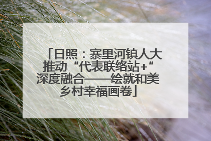 日照：寨里河镇人大推动“代表联络站+”深度融合——绘就和美乡村幸福画卷