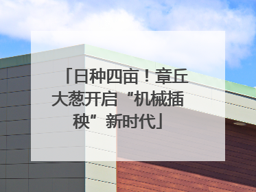 日种四亩！章丘大葱开启“机械插秧”新时代