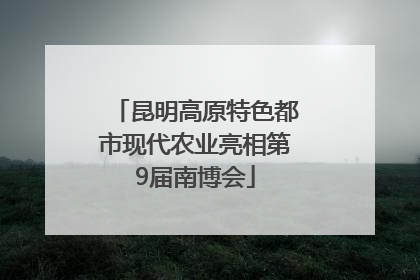 昆明高原特色都市现代农业亮相第9届南博会