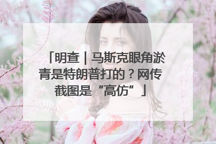 明查｜马斯克眼角淤青是特朗普打的？网传截图是“高仿”