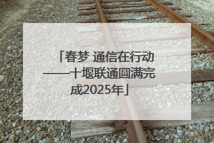 春梦 通信在行动——十堰联通圆满完成2025年