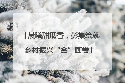 晨曦甜瓜香，彭集绘就乡村振兴“金”画卷