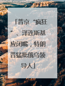 普京“疯狂”、泽连斯基应闭嘴，特朗普猛批俄乌领导人