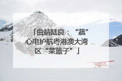 曲靖陆良：“蔬”心电护航粤港澳大湾区“菜篮子”