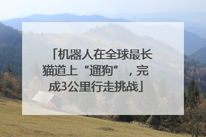 机器人在全球最长猫道上“遛狗”，完成3公里行走挑战