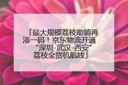 最大规模荔枝助销再添一码！京东物流开通“深圳-武汉-西安” 荔枝全货机航线