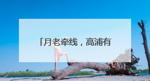 月老牵线，高浦有“囍”——首届厦门高浦城隍庙月老文化活动暨他趣百城见面会隆重举办