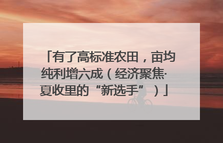 有了高标准农田，亩均纯利增六成（经济聚焦·夏收里的“新选手”）