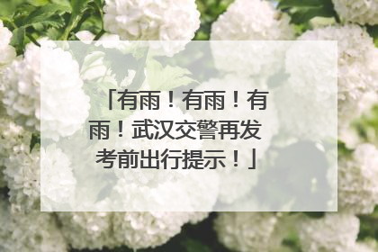 有雨！有雨！有雨！武汉交警再发考前出行提示！