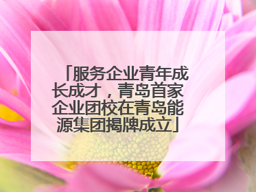 服务企业青年成长成才，青岛首家企业团校在青岛能源集团揭牌成立