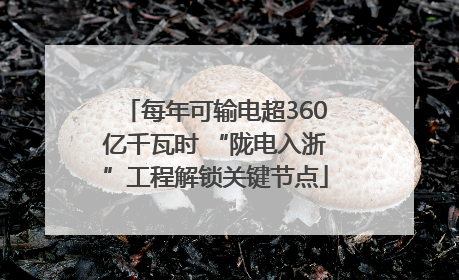 每年可输电超360亿千瓦时 “陇电入浙”工程解锁关键节点
