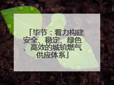 毕节：着力构建安全、稳定、绿色、高效的城镇燃气供应体系
