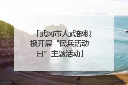 武冈市人武部积极开展“民兵活动日”主题活动