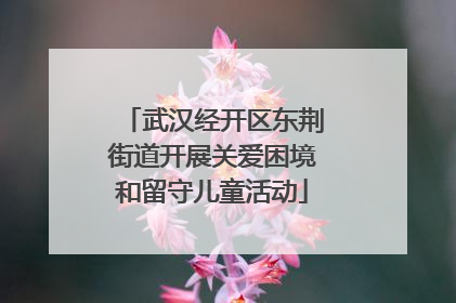 武汉经开区东荆街道开展关爱困境和留守儿童活动