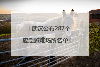 武汉公布287个应急避难场所名单