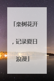 栾树花开，记录夏日浪漫