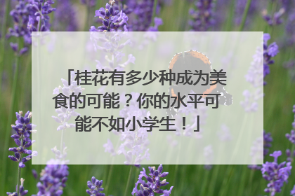 桂花有多少种成为美食的可能？你的水平可能不如小学生！