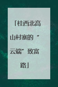 桂西北高山村寨的“云端”致富路