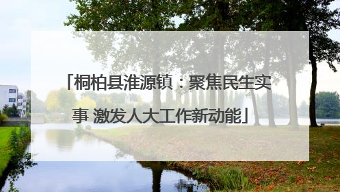 桐柏县淮源镇：聚焦民生实事 激发人大工作新动能