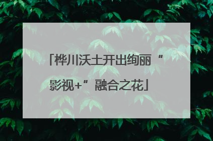 桦川沃土开出绚丽“影视+”融合之花