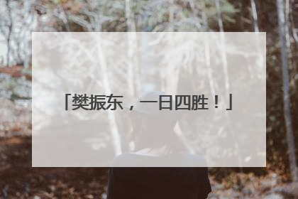 樊振东，一日四胜！