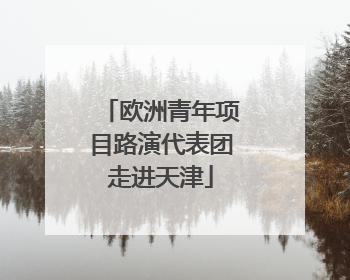 欧洲青年项目路演代表团走进天津