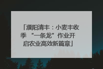 濮阳清丰：小麦丰收季 “一条龙”作业开启农业高效新篇章