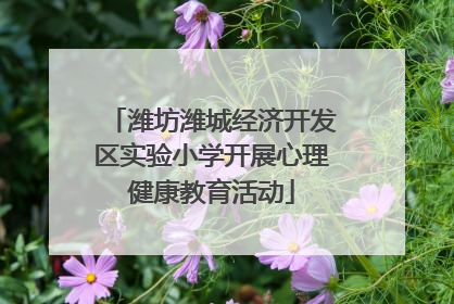 潍坊潍城经济开发区实验小学开展心理健康教育活动