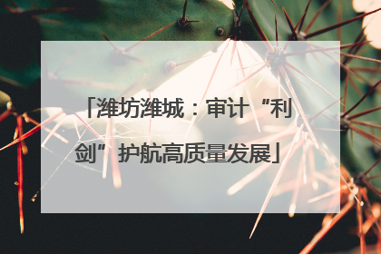 潍坊潍城：审计“利剑”护航高质量发展