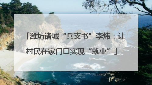 潍坊诸城“兵支书”李炜：让村民在家门口实现“就业”