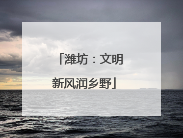 潍坊：文明新风润乡野