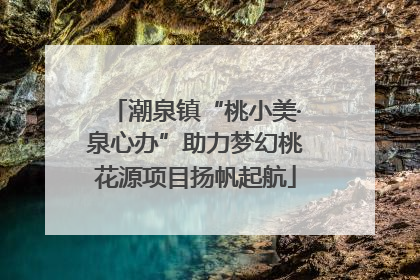 潮泉镇“桃小美·泉心办”助力梦幻桃花源项目扬帆起航