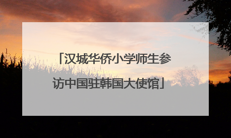 汉城华侨小学师生参访中国驻韩国大使馆