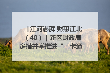 江河澎湃 财惠江北（40）｜新区财政局多措并举推进“一卡通”管理 保障惠民惠农补贴精准高效发放