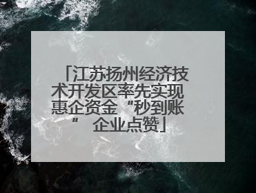 江苏扬州经济技术开发区率先实现惠企资金“秒到账” 企业点赞