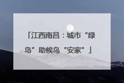 江西南昌：城市“绿岛”助候鸟“安家”