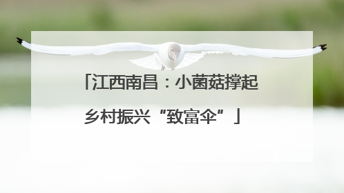 江西南昌：小菌菇撑起乡村振兴“致富伞”