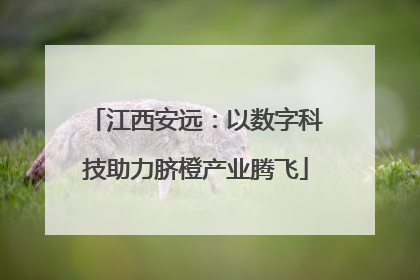 江西安远：以数字科技助力脐橙产业腾飞