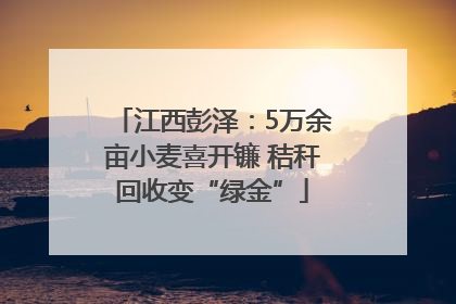 江西彭泽：5万余亩小麦喜开镰 秸秆回收变“绿金”
