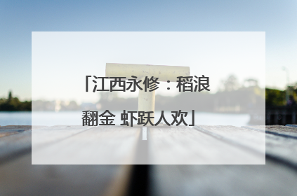 江西永修：稻浪翻金 虾跃人欢